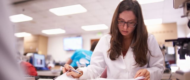 MSU_College_of_Veterinary_Medicine_-_Student_Studying.jpg